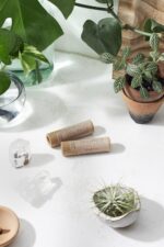 Kissable Lips / Chapstick Lip Balm / PAPERBOARD Tube - Image 2